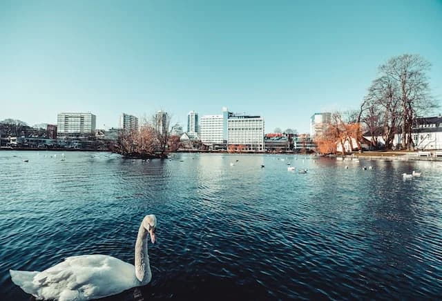Strømavtale i Stavanger